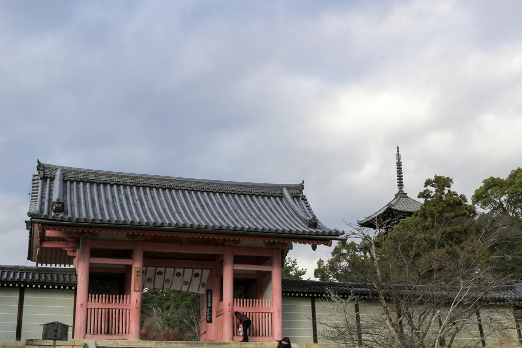 仁和寺 中門