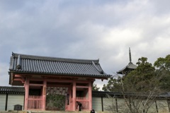 仁和寺 中門