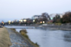 柔らかな川の風景
