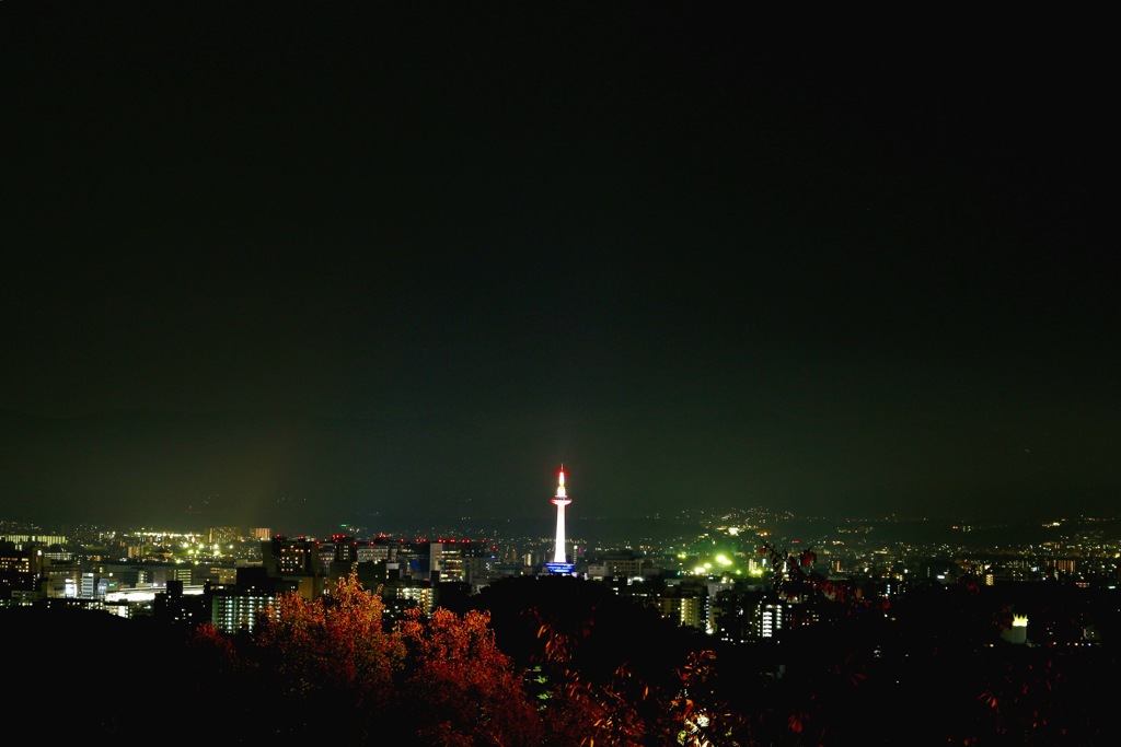 清水寺から見た京都タワー