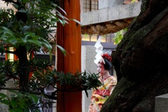 舞妓さん1