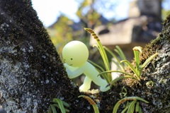 プッシュ( ´ ▽ ` )ﾉ
