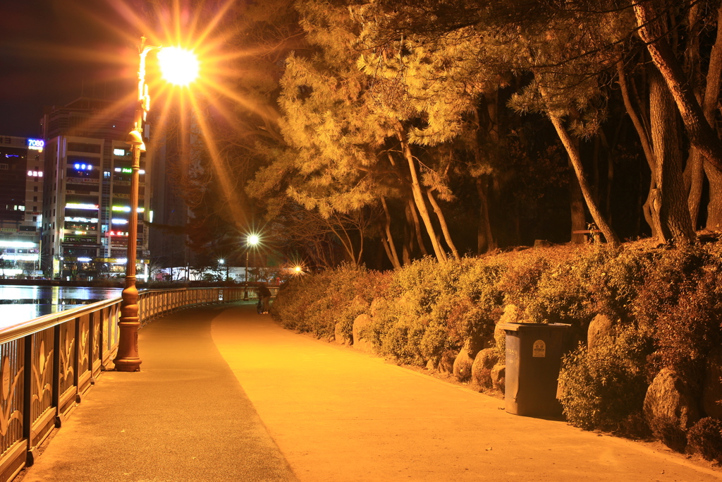 散歩道