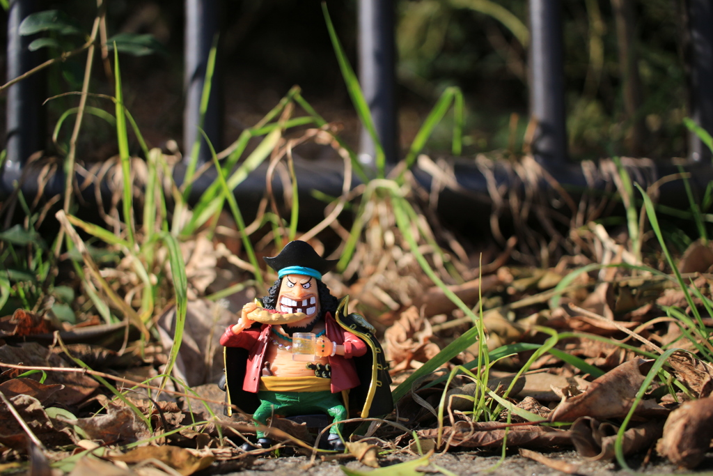 ぴっくにっ黒ひげ！