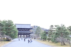 仁和寺！
