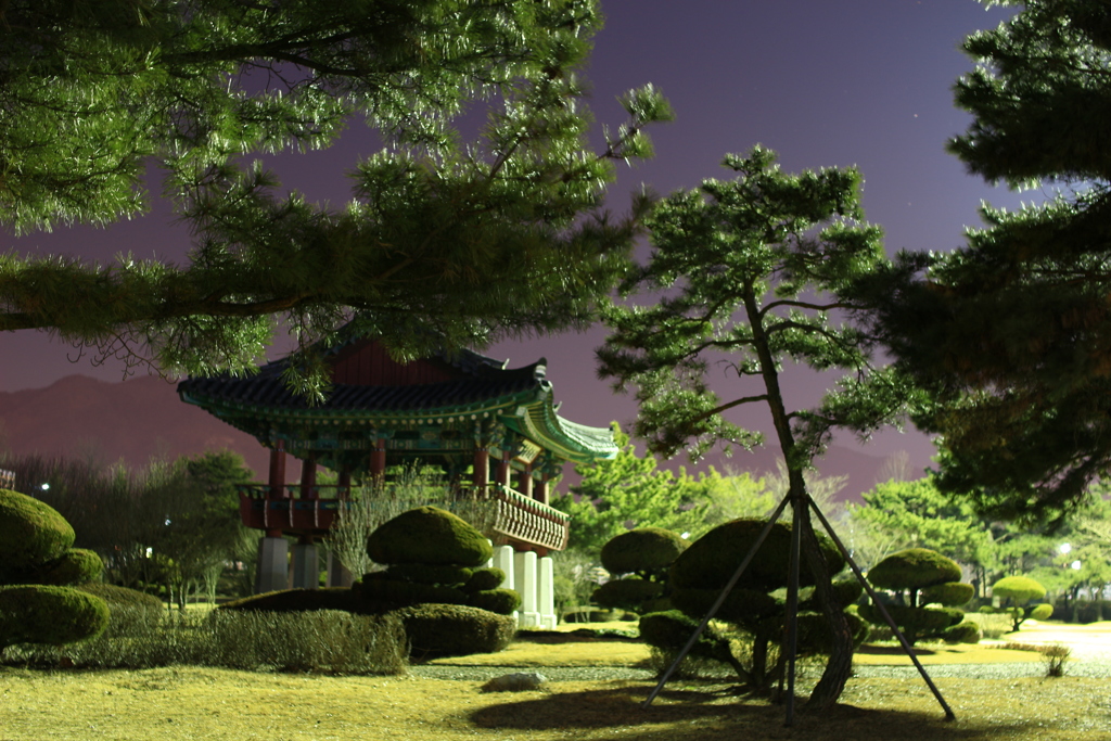 韓国公園の夜