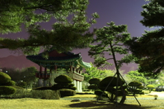 韓国公園の夜