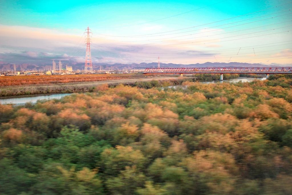 美しい朝の風景です！