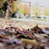 家の近くの公園