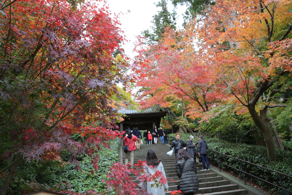 円覚寺