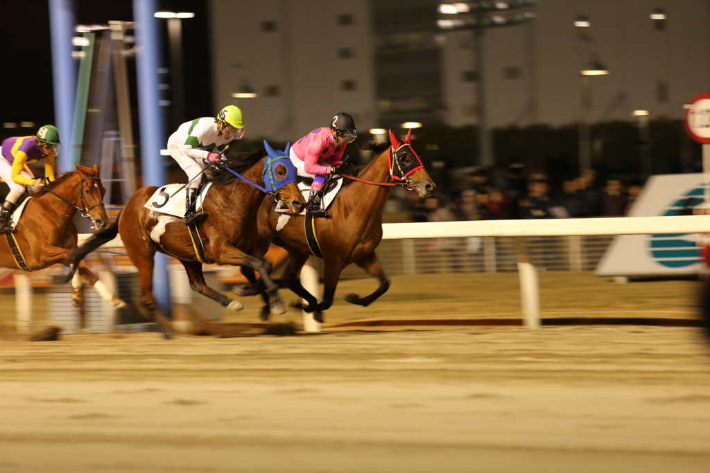 川崎競馬