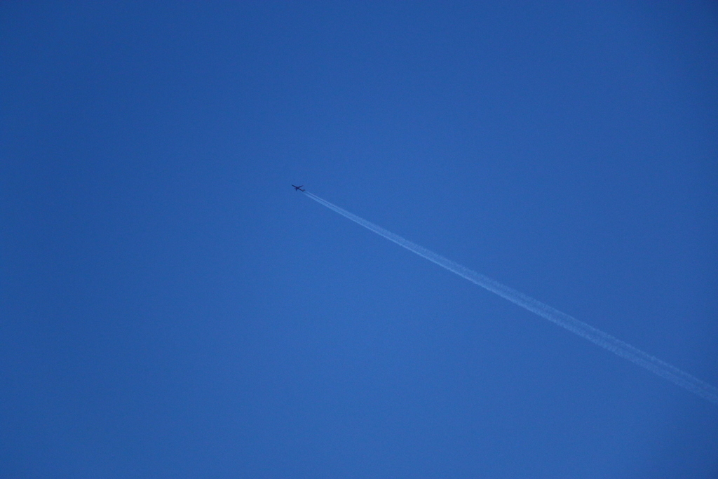 空に向かって