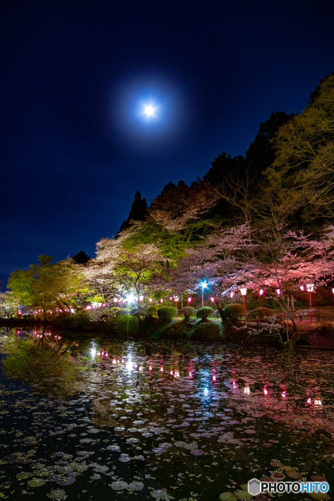 月明り