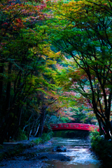 彩りを纏う赤橋