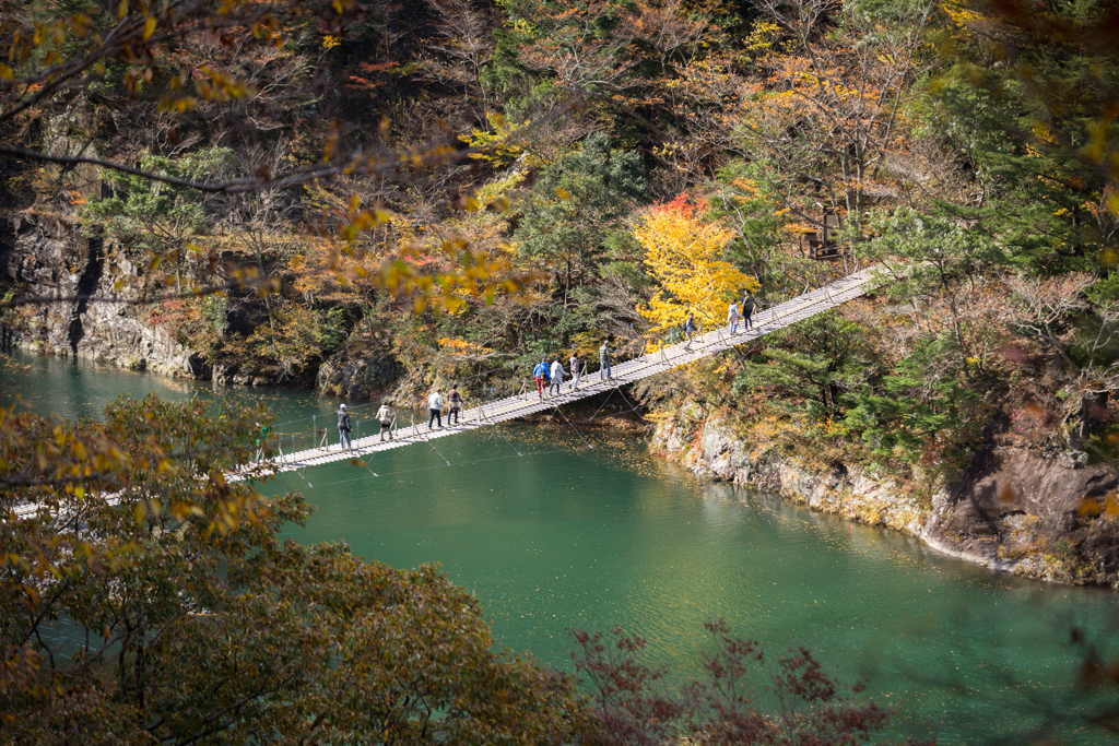 夢の吊り橋