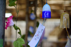izu