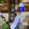 izu