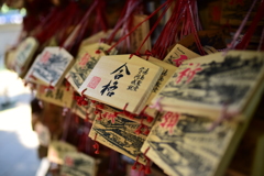 幾つもの願い