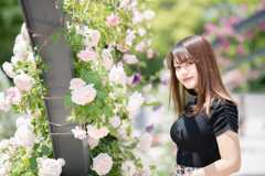 薔薇