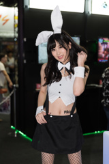 TGS2018-11