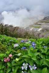 大涌谷にて