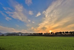 身近な風景３