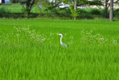 休憩中