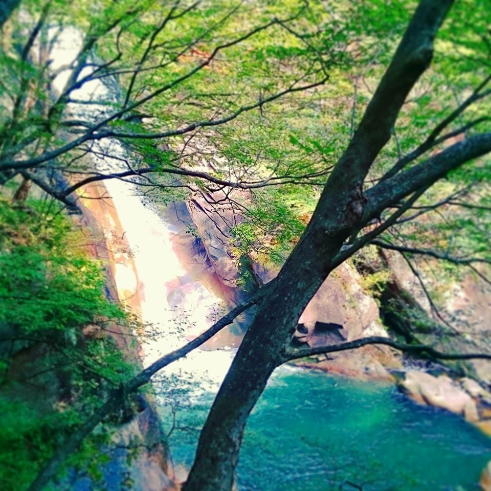 絶景日和