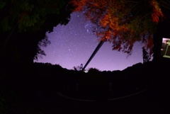 夜に浮かぶ大橋と紅葉