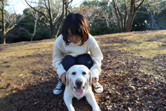 犬