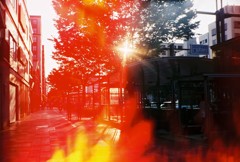 本能寺は燃えているか