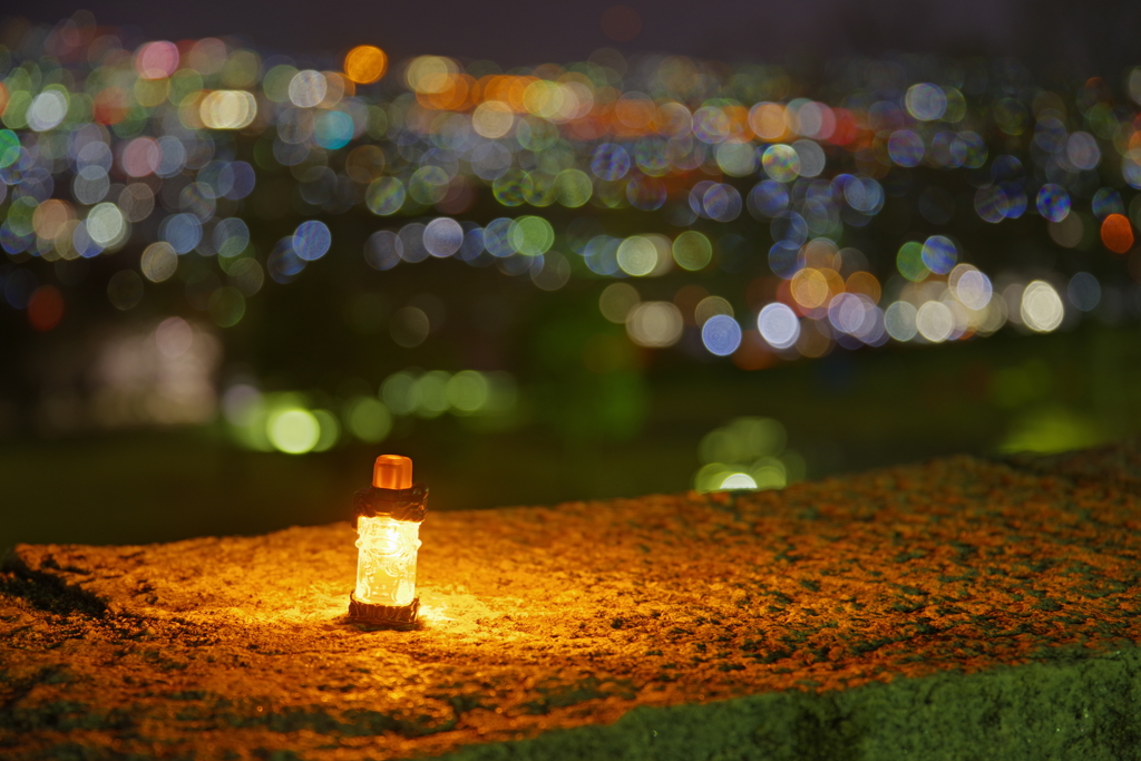 ロボットフルボトルと夜景