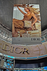 Dior 再び