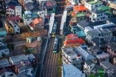 信号待ちする路面電車