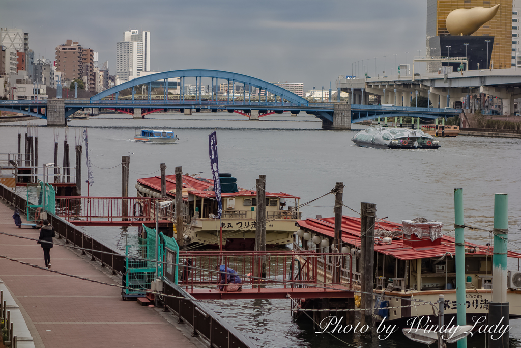 混沌とした風景