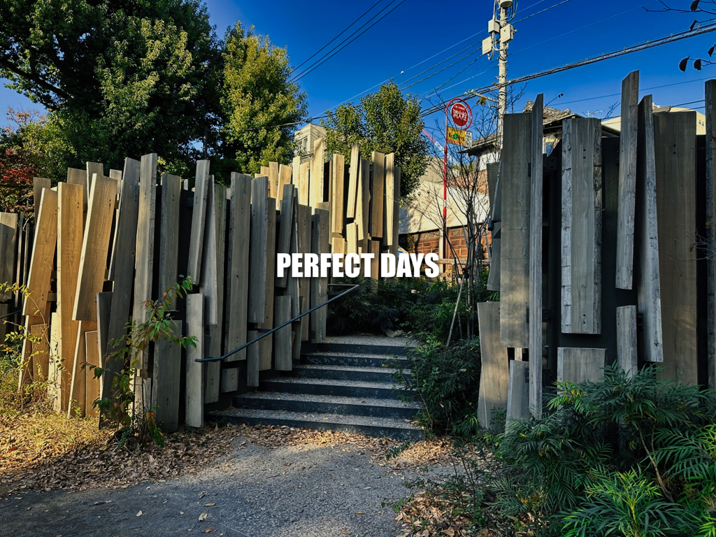 PERFECT DAYS