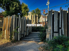 PERFECT DAYS