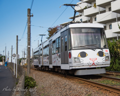 猫招き電車