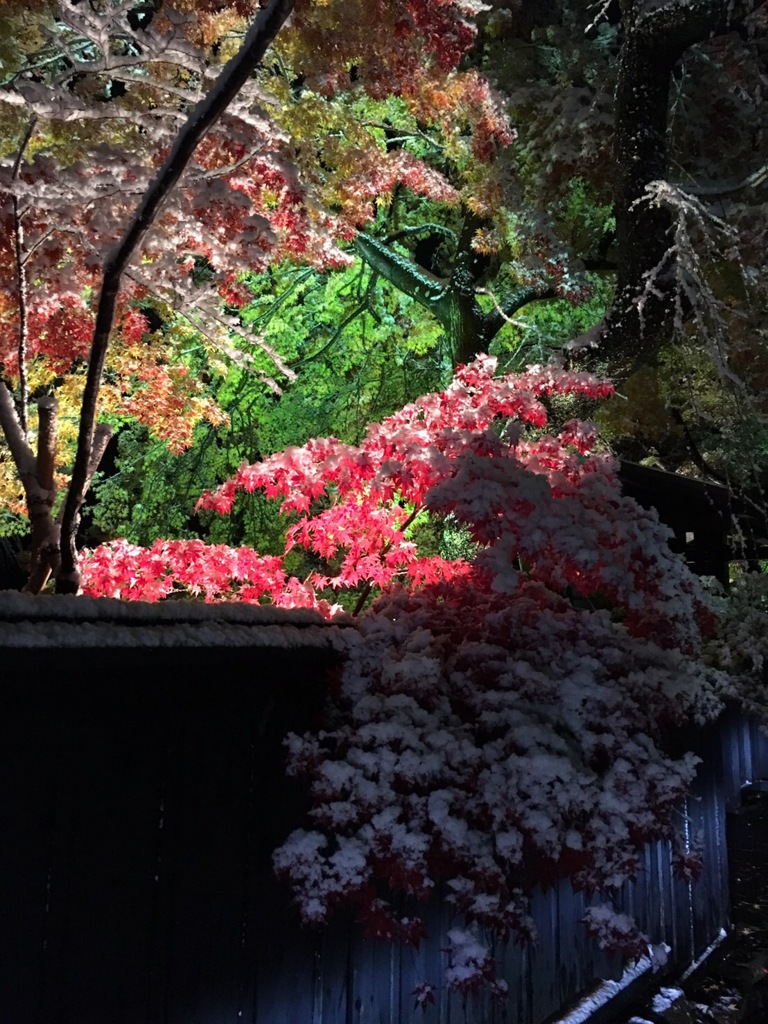 雪と紅葉の武家屋敷