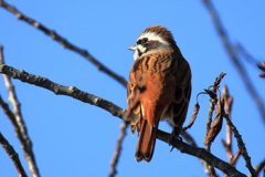 20251130EOS74314abikousiku