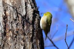 20260122EOS78095Usiku