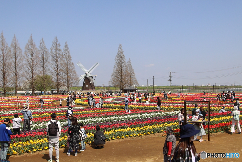 あけぼの山農業公園１