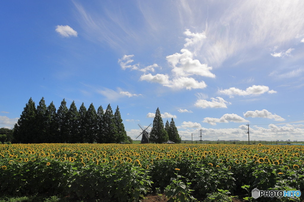 あけぼの山農業公園①
