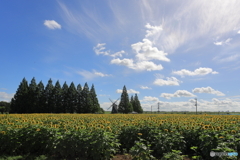 あけぼの山農業公園①