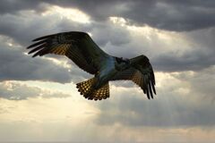 20251028R7EOS72162利根川LUM