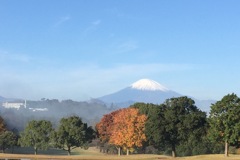 富士山