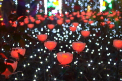 LED薔薇園