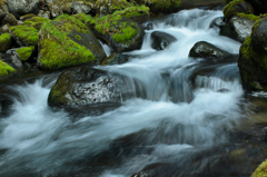 stream