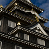 okayama castle ②
