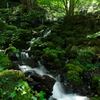green and green